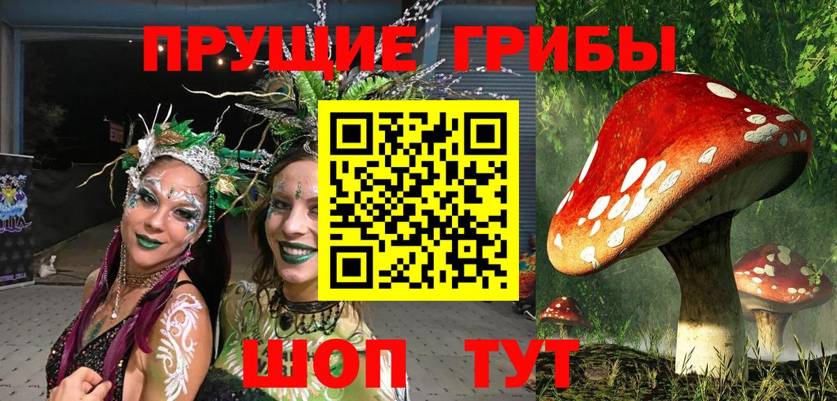 магазин продажи наркотиков  Вход с VPN  Галлюциногенные грибы Psilocybine cubensis  Заринск  Псилоцибиновые грибы мухоморы 